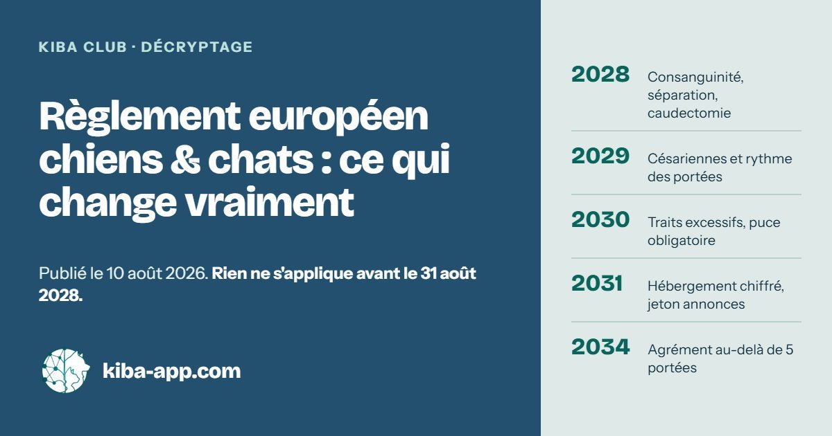 Règlement européen chiens et chats : ce qui change vraiment pour les éleveurs, et quand
