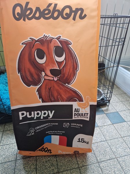 OKESEBON PUPPY