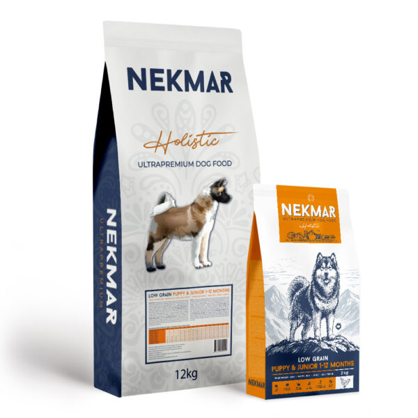 Nekmar Chiot