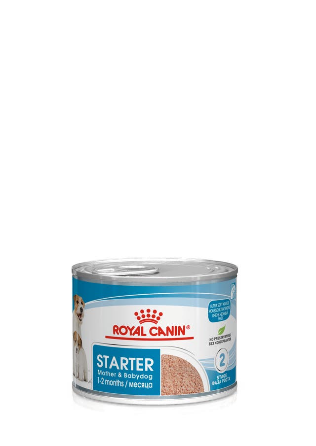 Royal Canin STARTER MOUSSE