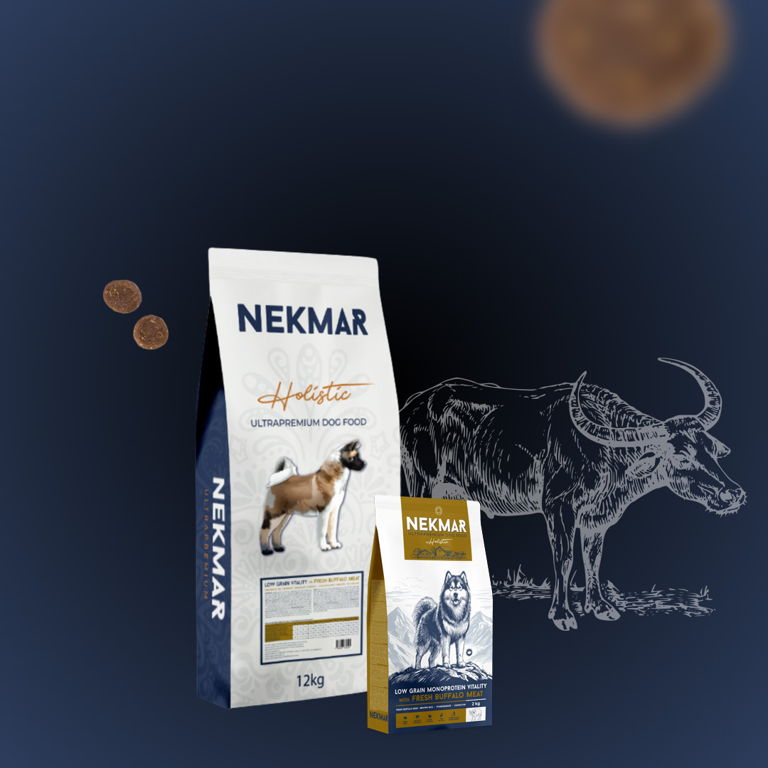 Nekmar Adulte