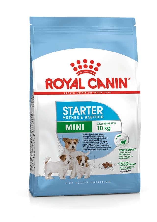 Royal Canin PRO STARTER M AND B MINI